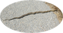 2 Gopher Snake