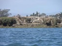 DSCN2733