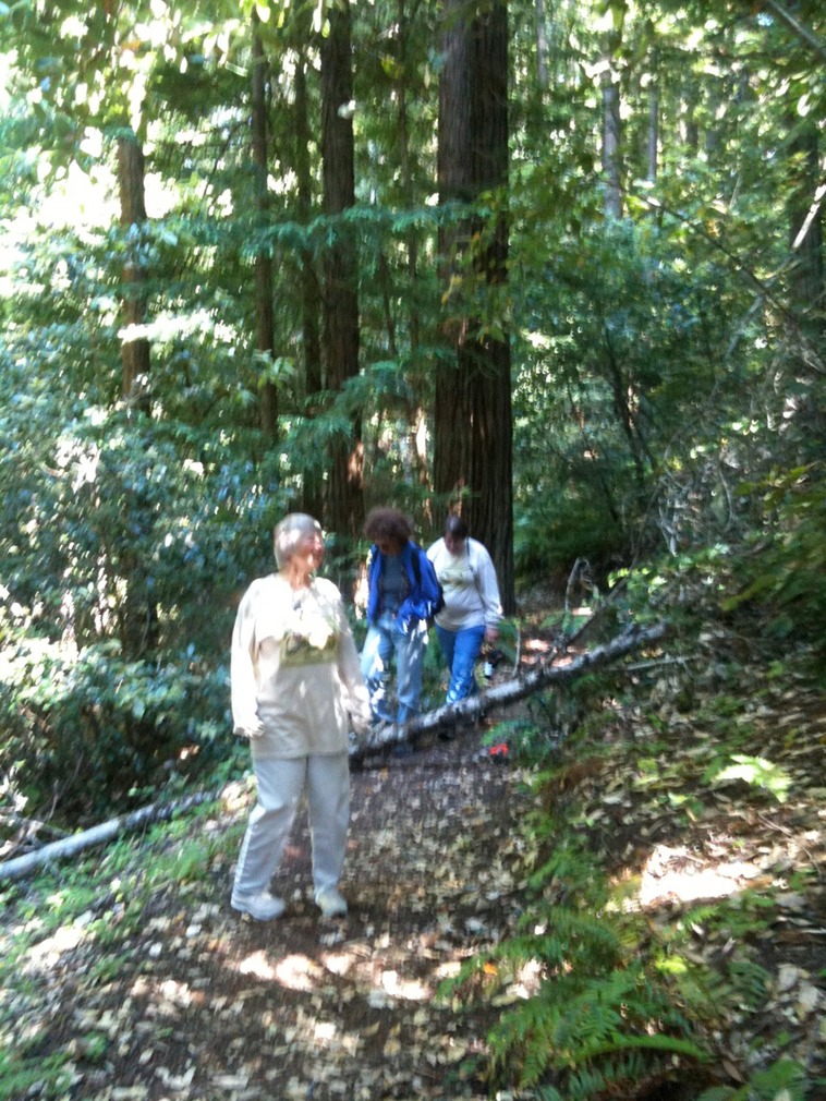 Josina, Marsha, Carole