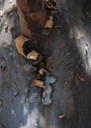 PeelingBark